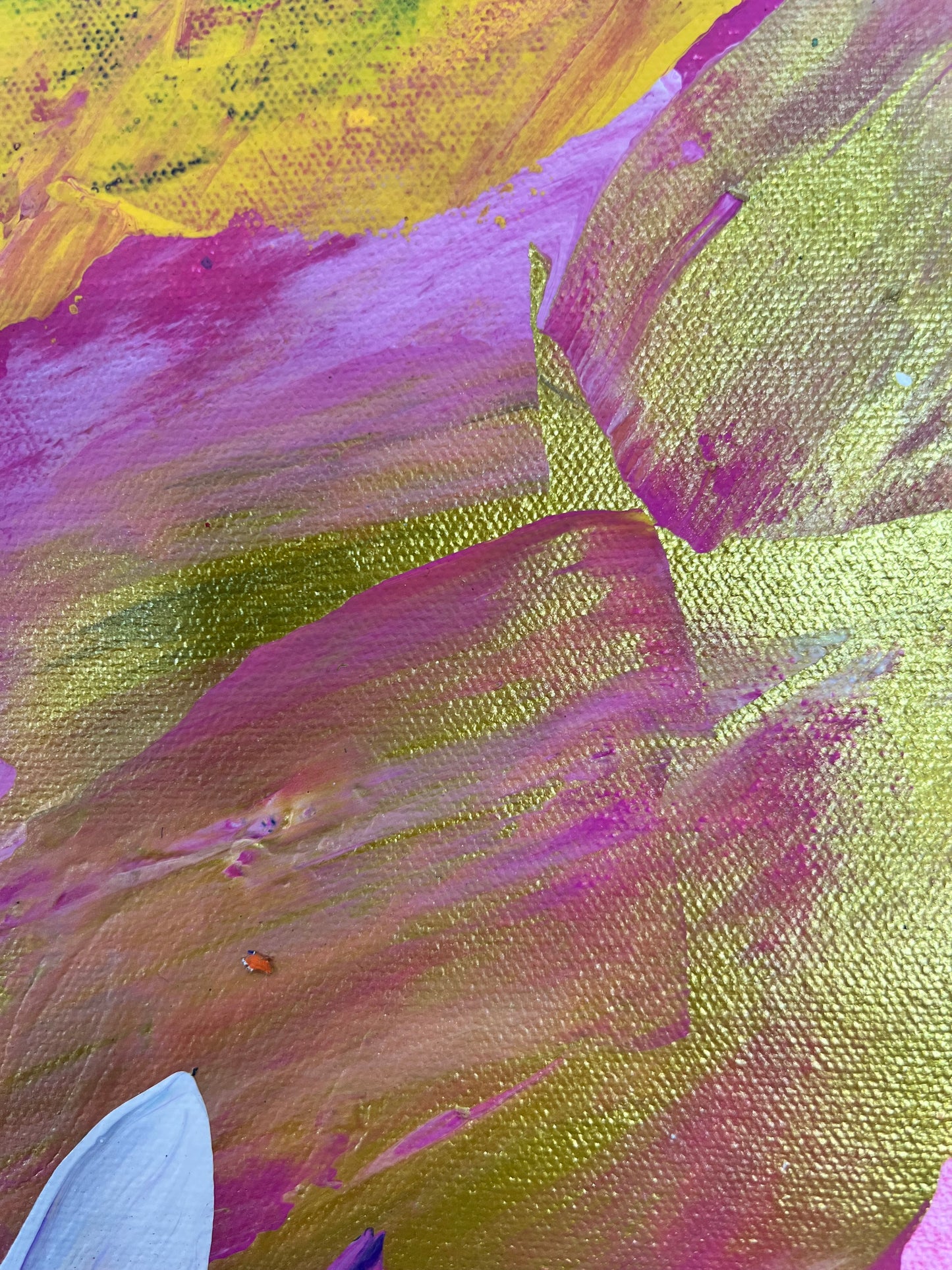 Beautiful and Free / Abstract Lotus / April 2026