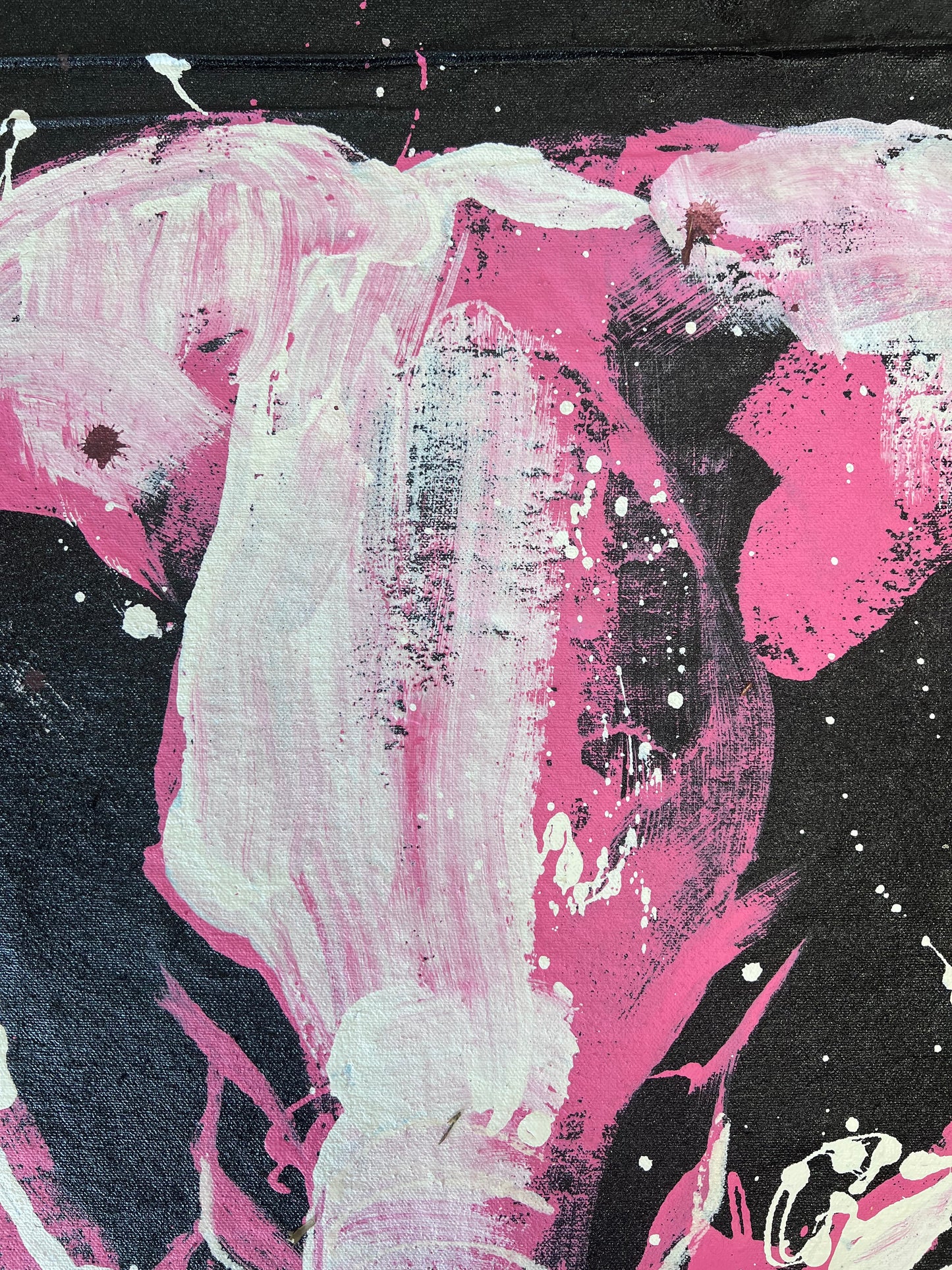 Small Steps / Elephant / April 2026