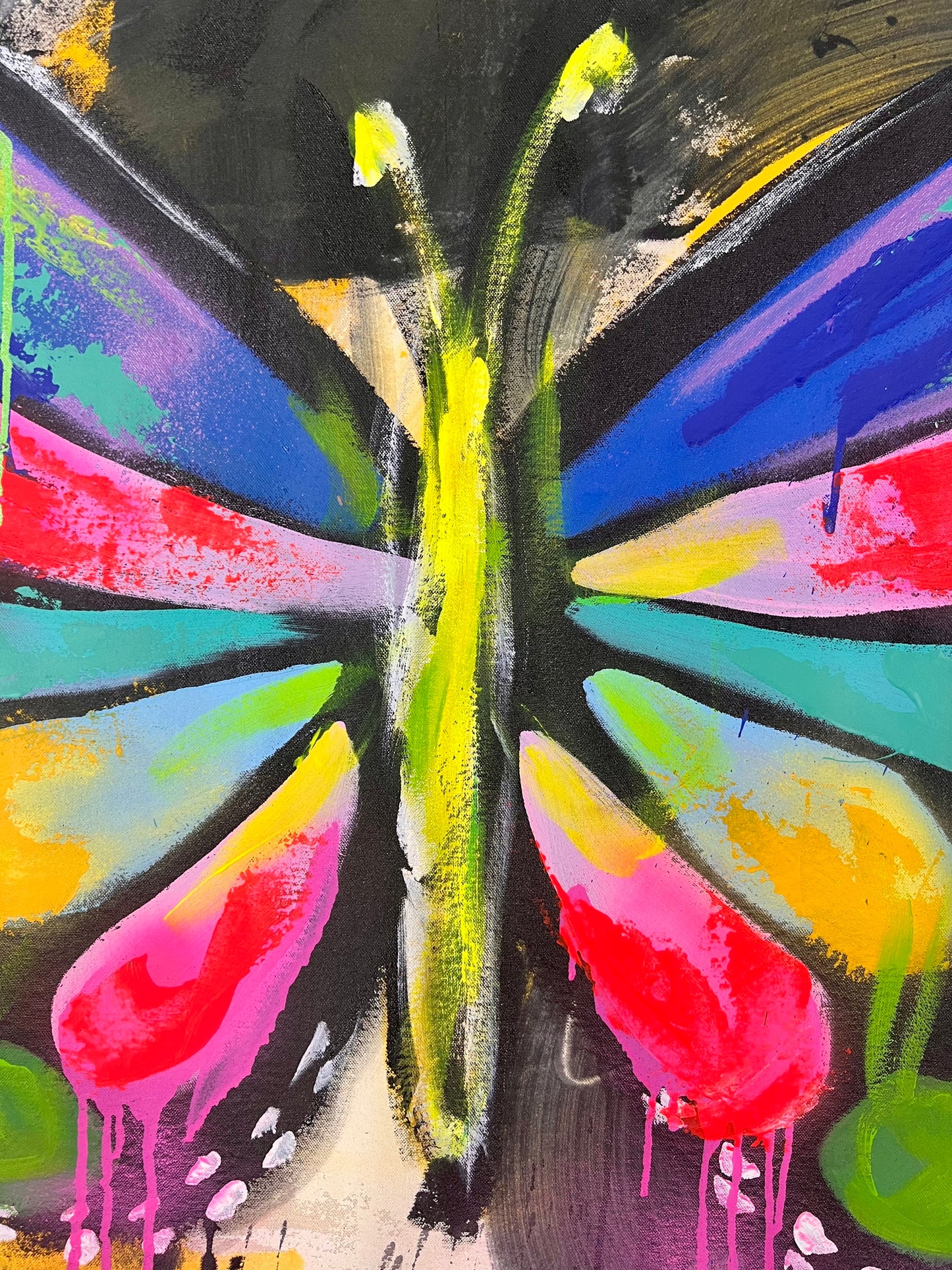 Most Free / Butterfly / Sunday Collection / November 2025