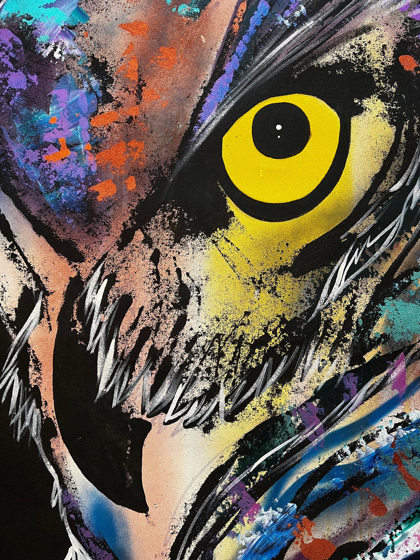 How to See / Throwback Owl / Farewell 2025 Collection