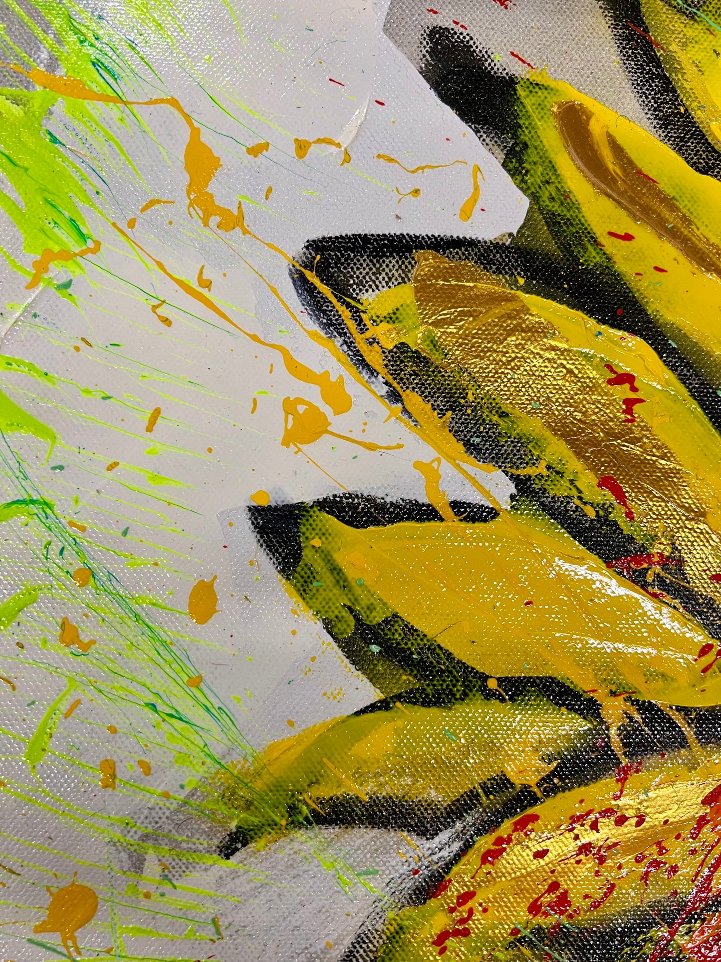 The Source of Light / Sunflower / Wednesday Refresh / February 2026