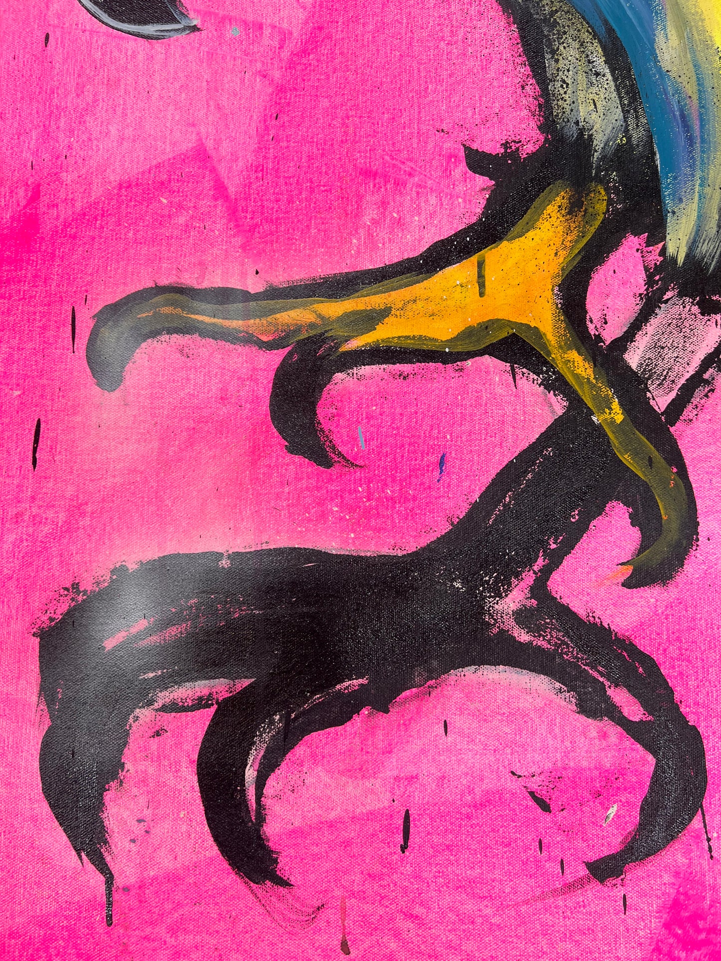 The Eyes of Gladness / Lighthouse Hawk/ Featured Originals / November 2025