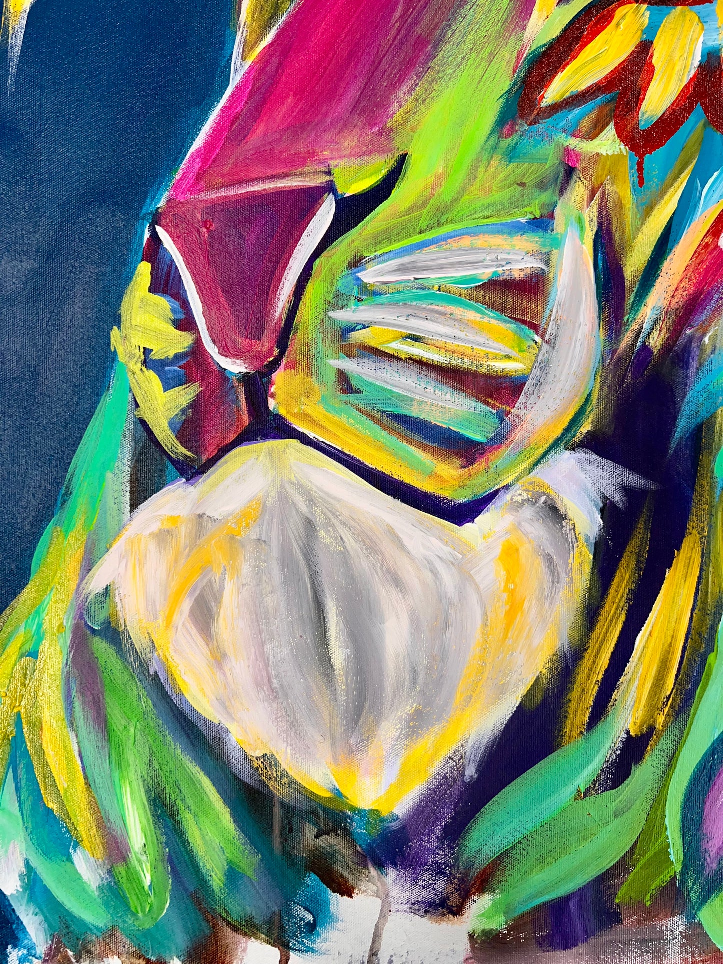 As A Garden / Lion / Sunday Collection / November 2025