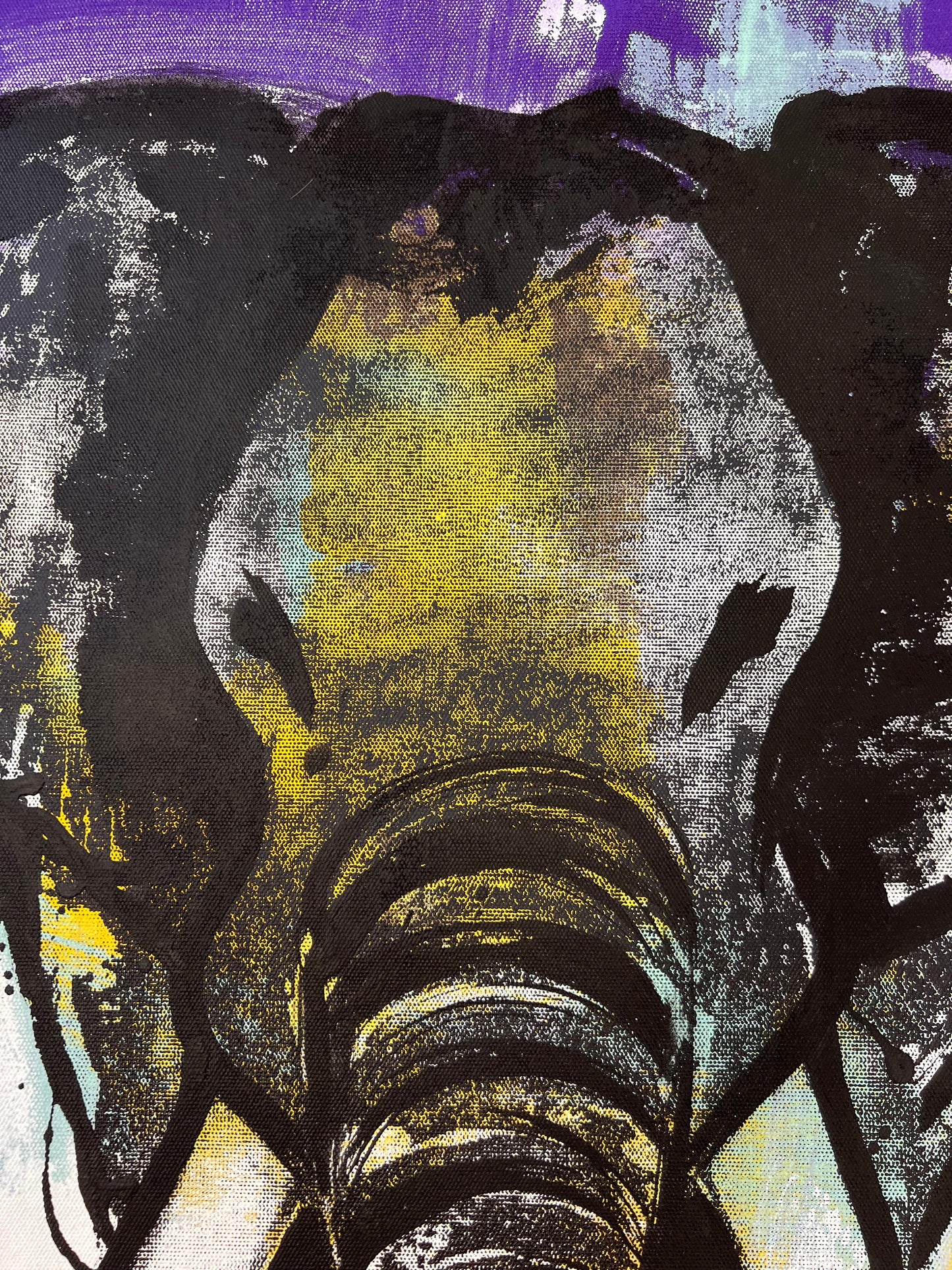 Amazing Things / Screen Print Elephant / Sunday Collection / September 2025