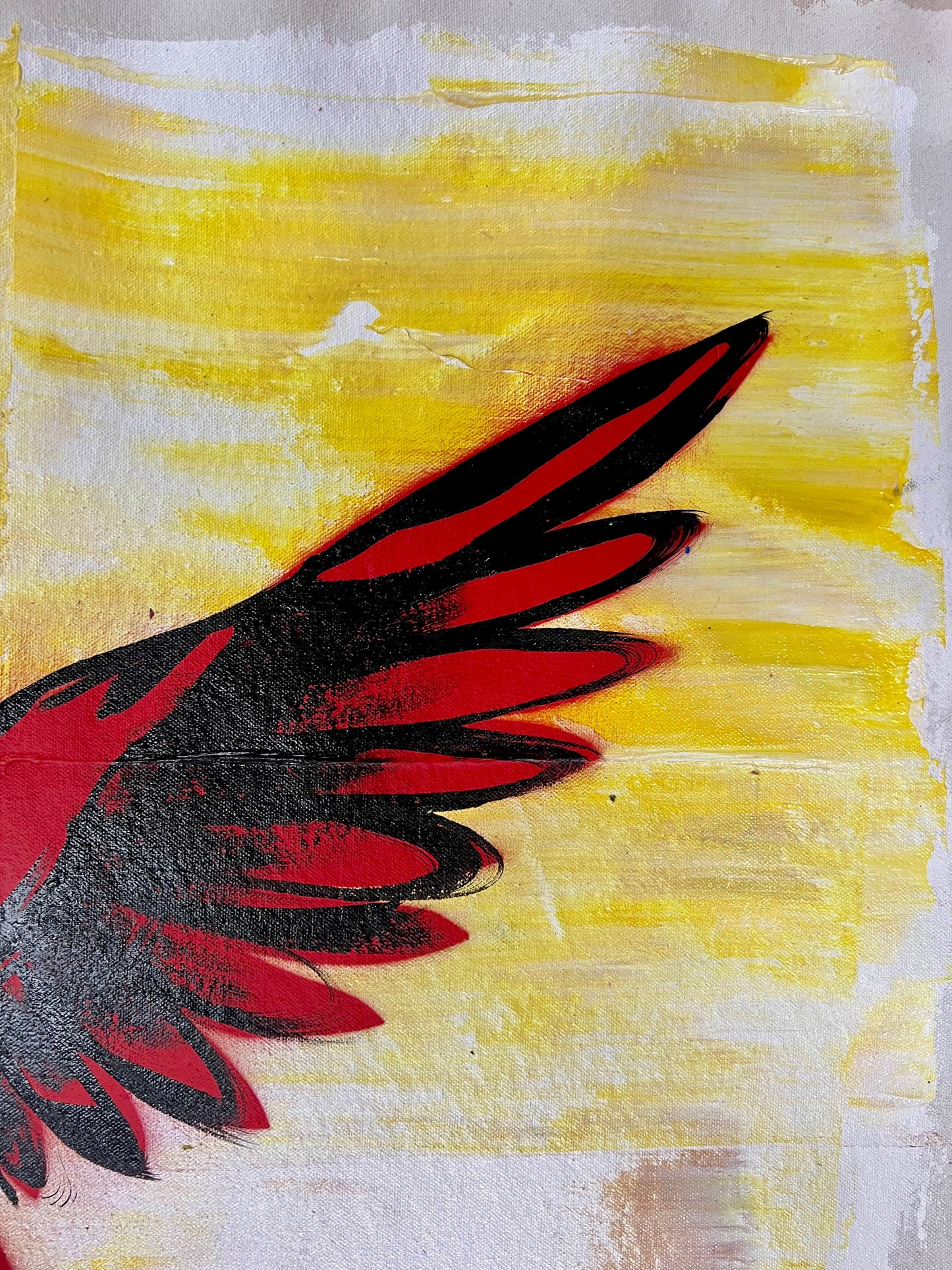 Amazing and Free / Cardinal Sketch / Wednesday Refresh / February 2026