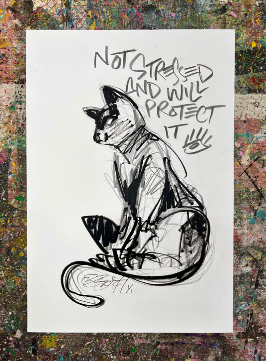 Not Stressed and Will Protect It / Charcoal Cat Sketch / Archival Paper / May 2025