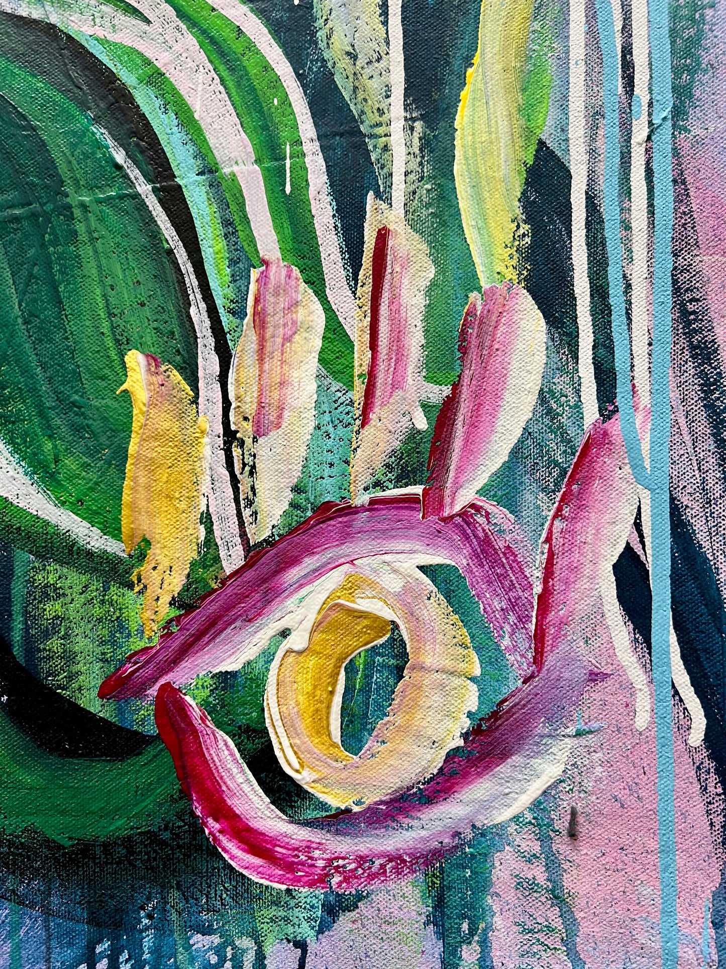 Gracious Through Gladness / Garden Lion / Amazing Grace Collection / February 2026