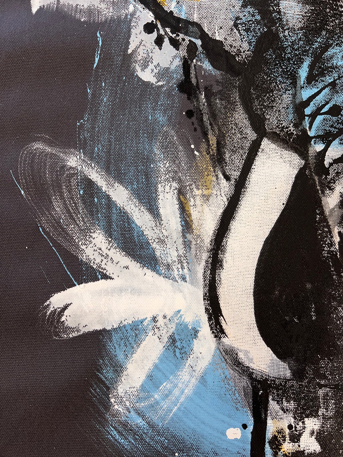 Now and Becoming / Screen Print Elephant / Sunday Collection / September 2025