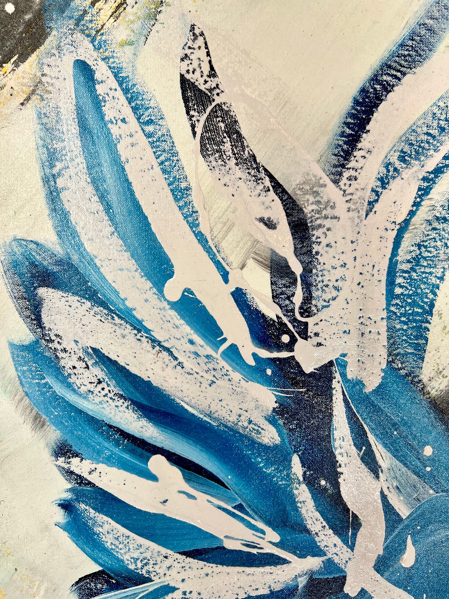 Dancing Across the Sky / Bluebird / March 2026