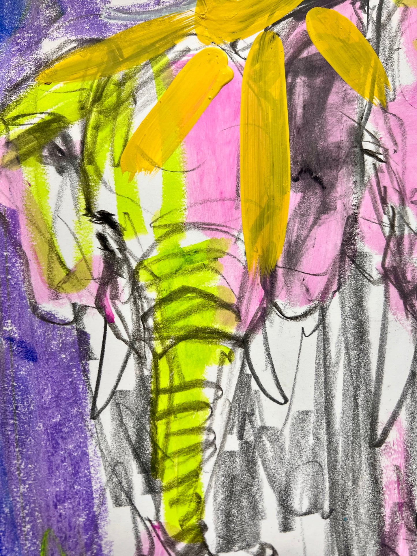 Enlightened Elephants Sketch / Archival Paper / May 2025