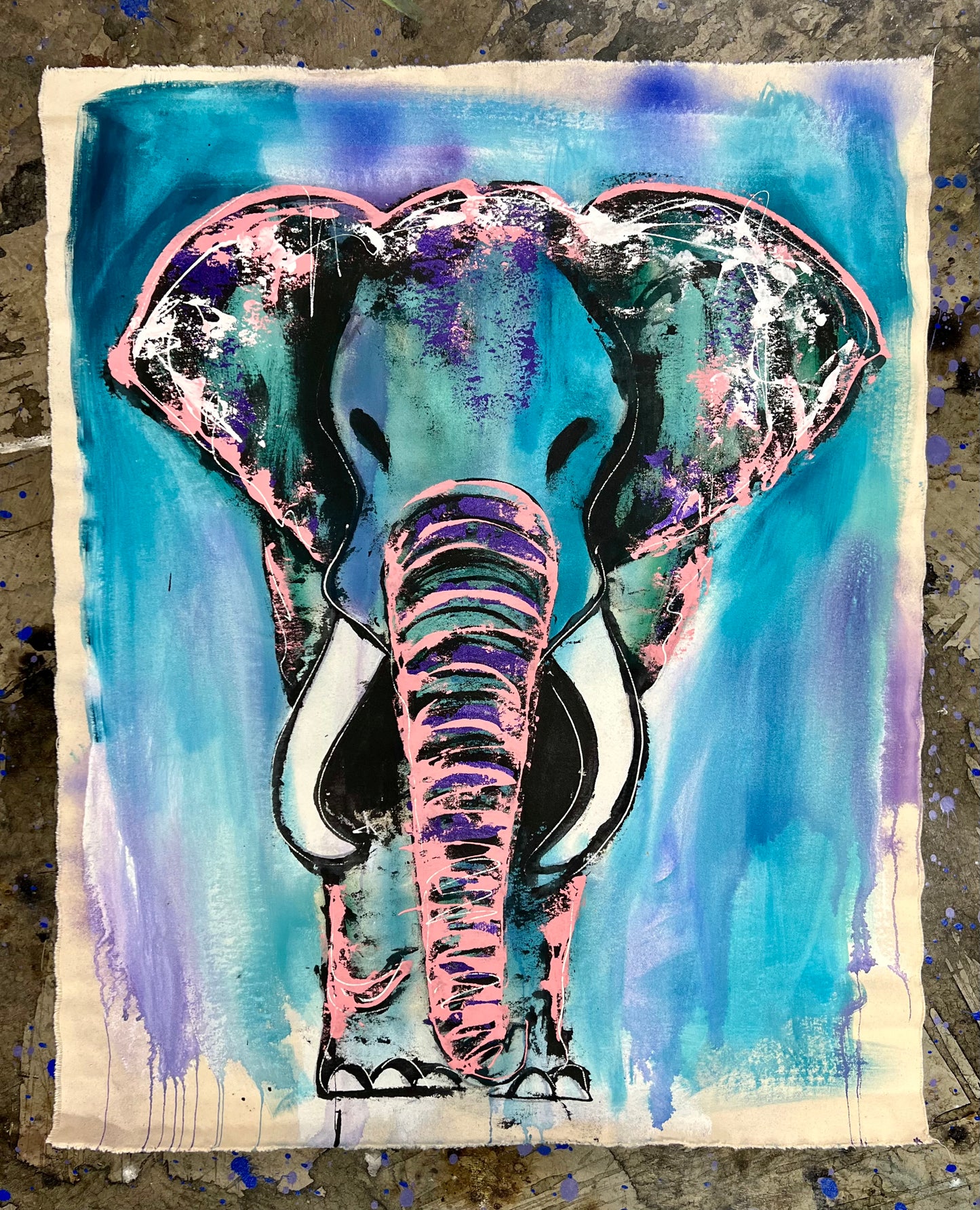 Amazing Things / Colorwash Classic Elephant / Winter 2025