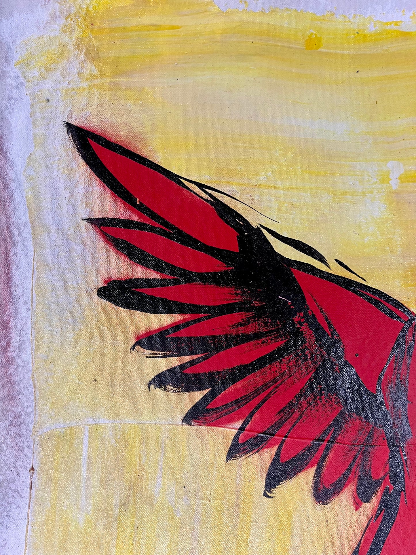 Amazing and Free / Cardinal Sketch / Wednesday Refresh / February 2026