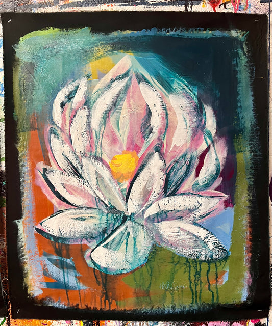 Lotus Sketch 3 / February 2025
