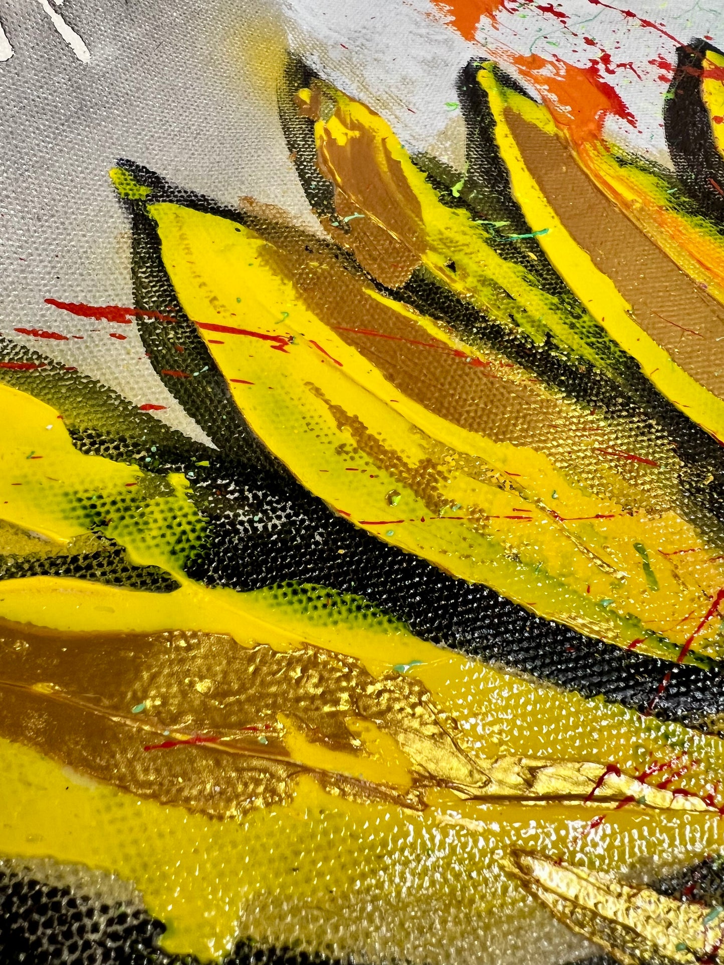 The Source of Light / Sunflower / Wednesday Refresh / February 2026