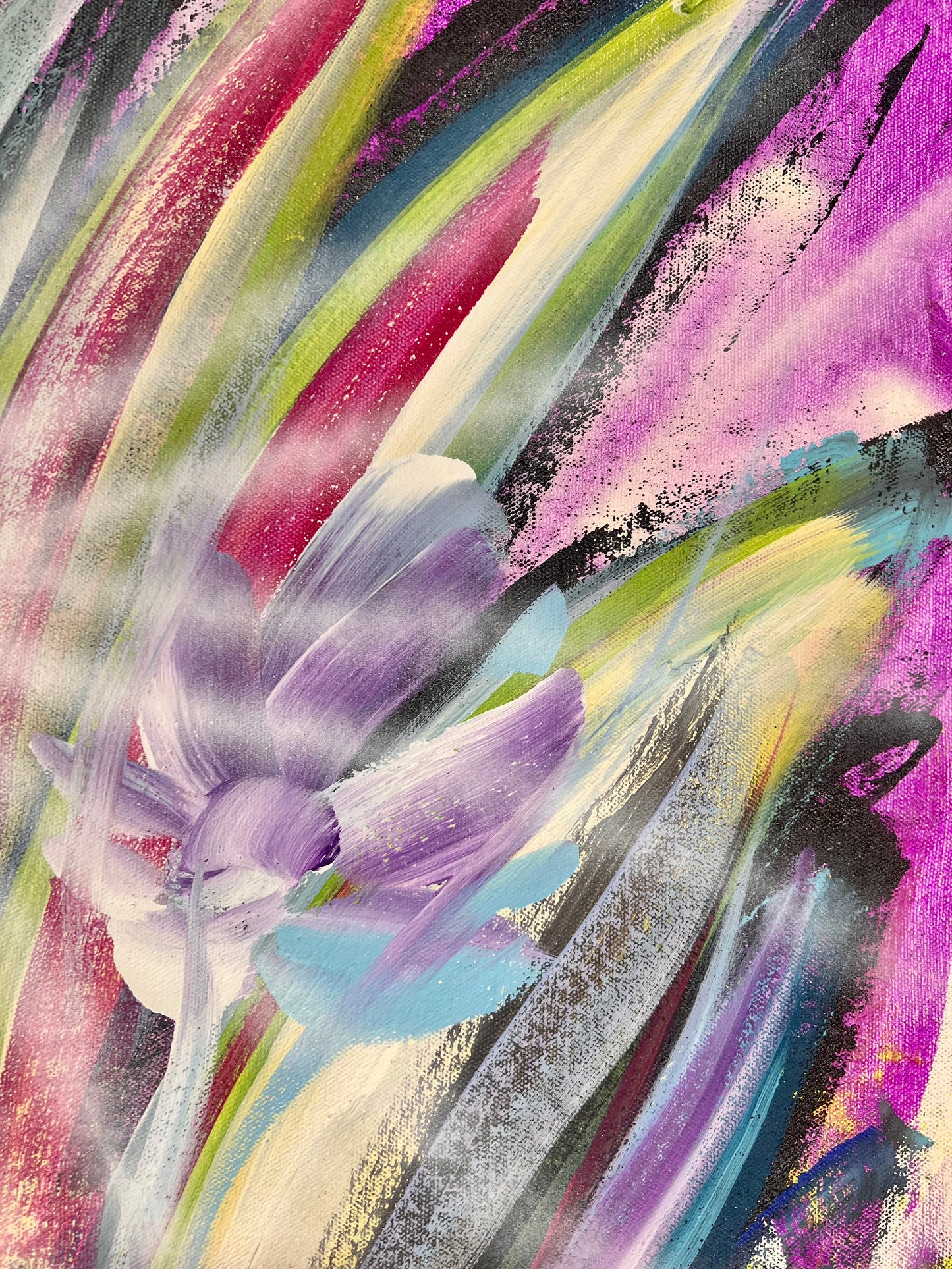 The Eyes of Gladness / Lighthouse Hawk/ Featured Originals / November 2025