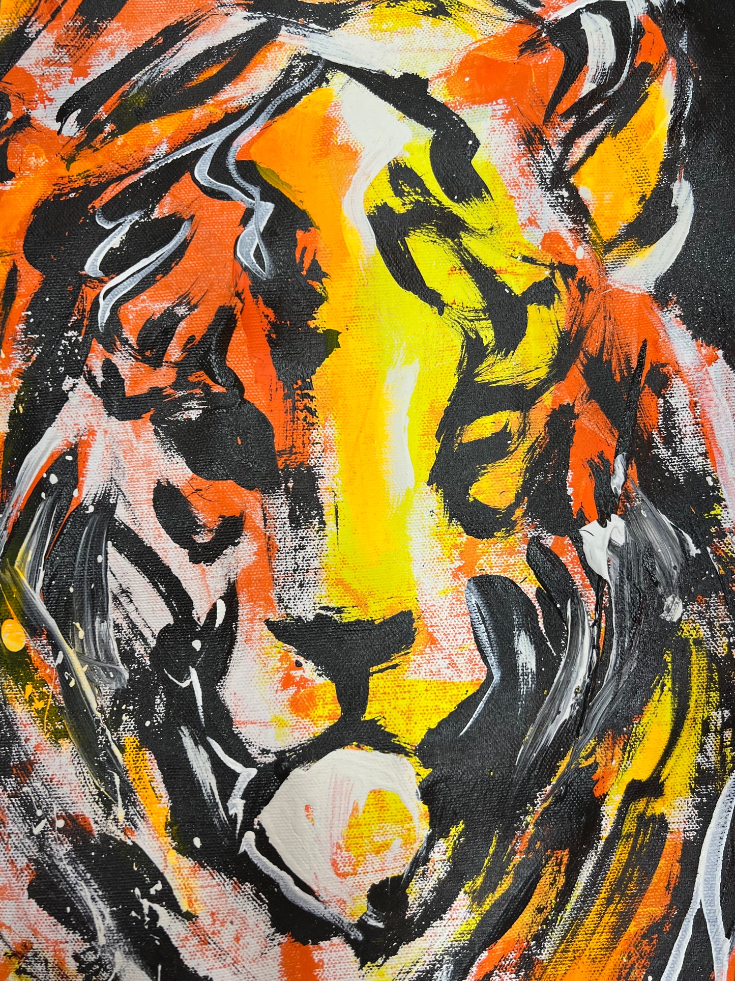 At Calm Pace / Tiger / November 2023