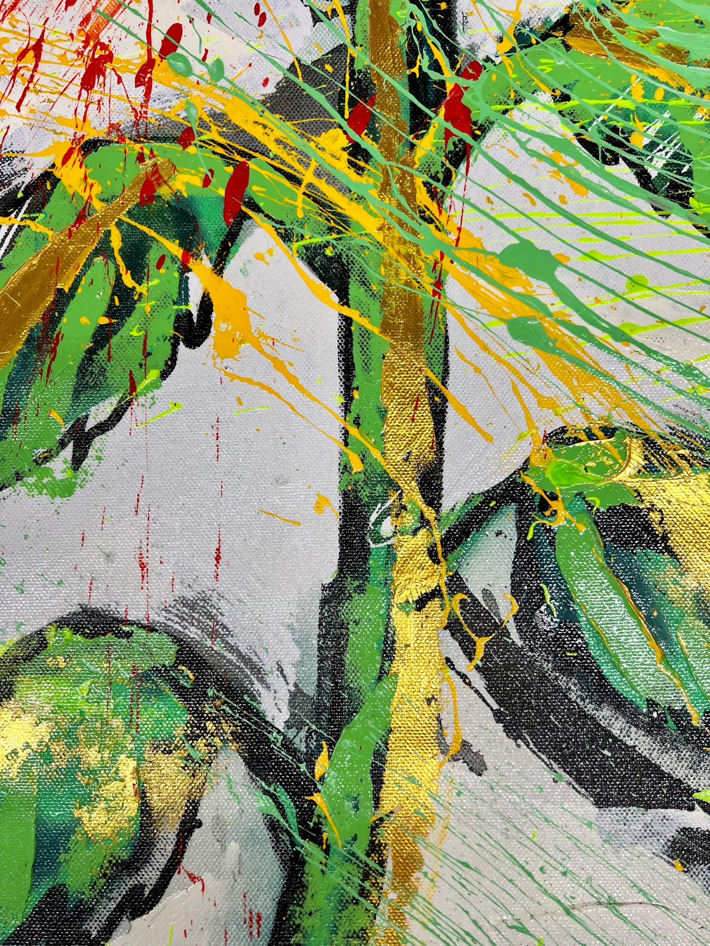 The Source of Light / Sunflower / Wednesday Refresh / February 2026