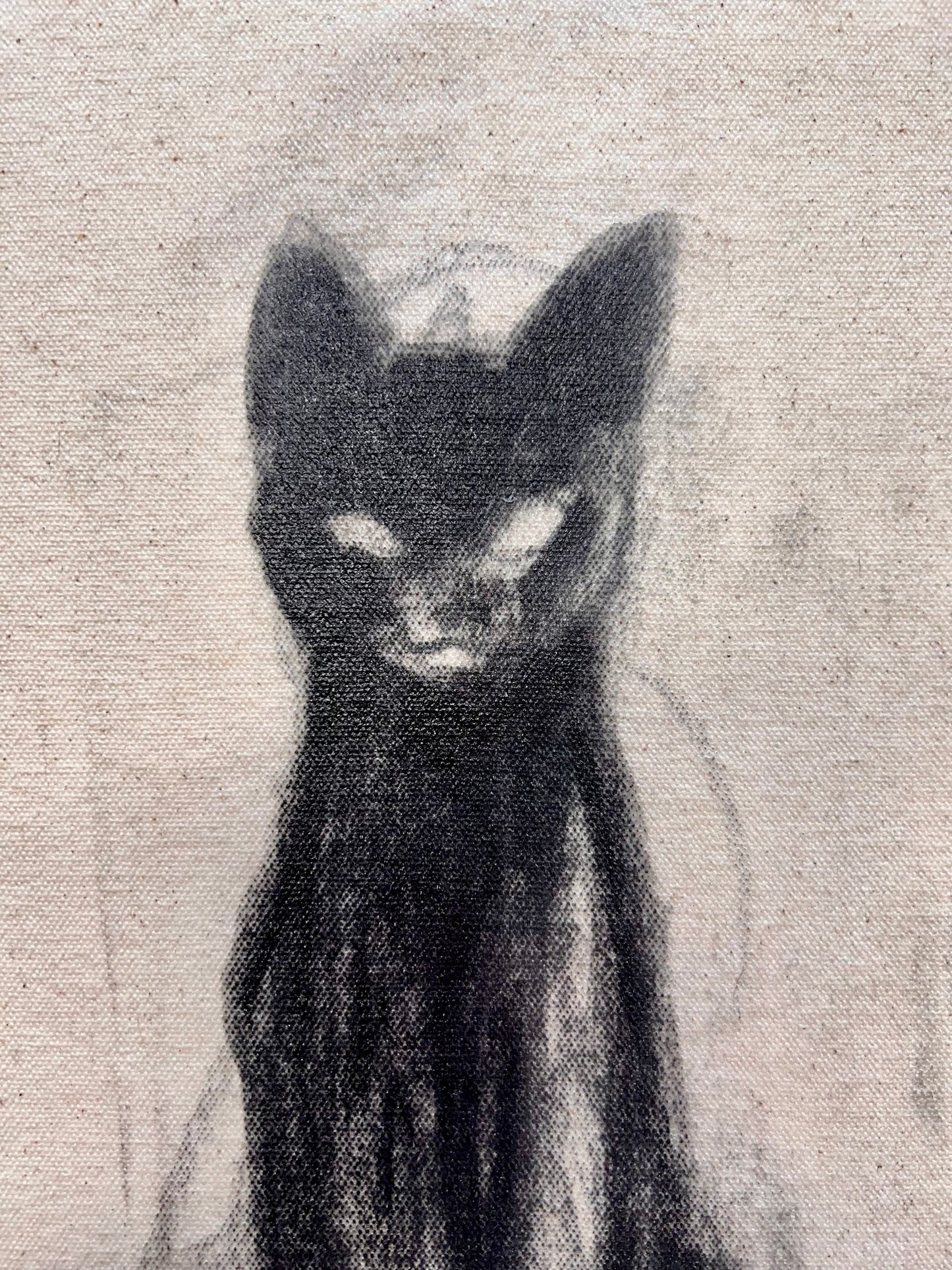 Charcoal Curiosity Cat Sketch / Wednesday Refresh / September 2025