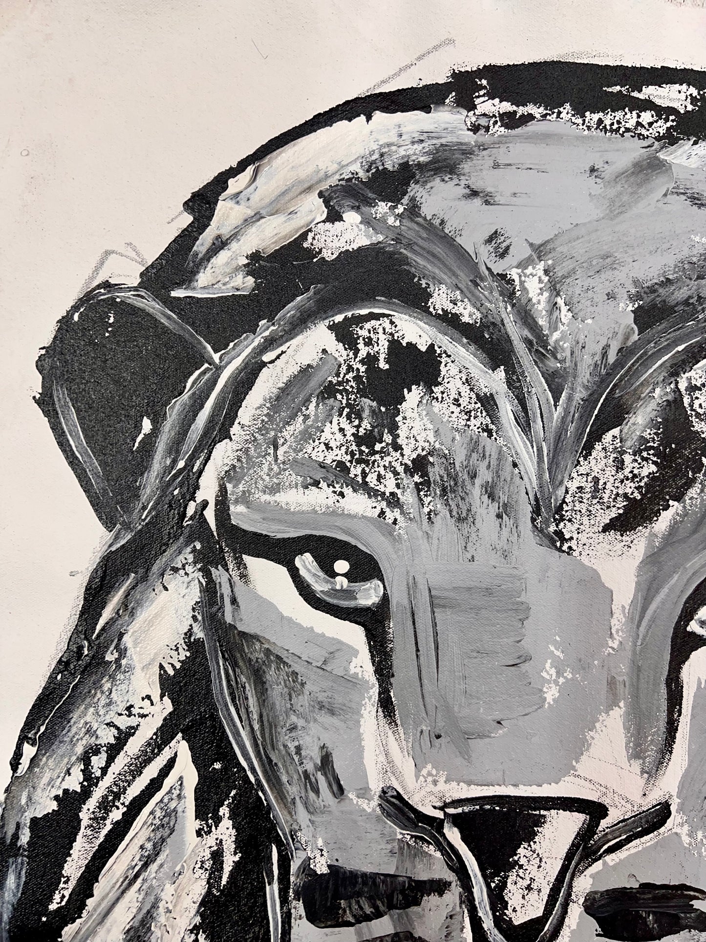 Black & White Lion / Wednesday Refresh / August 2025