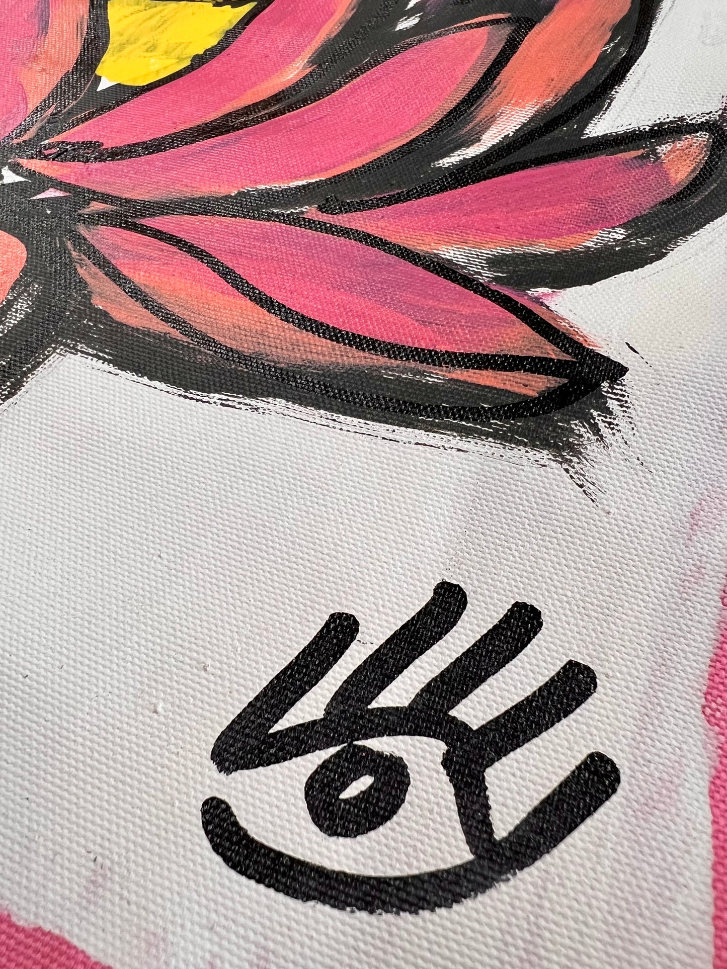 Lotus Sketch / Wednesday Refresh / August 2025