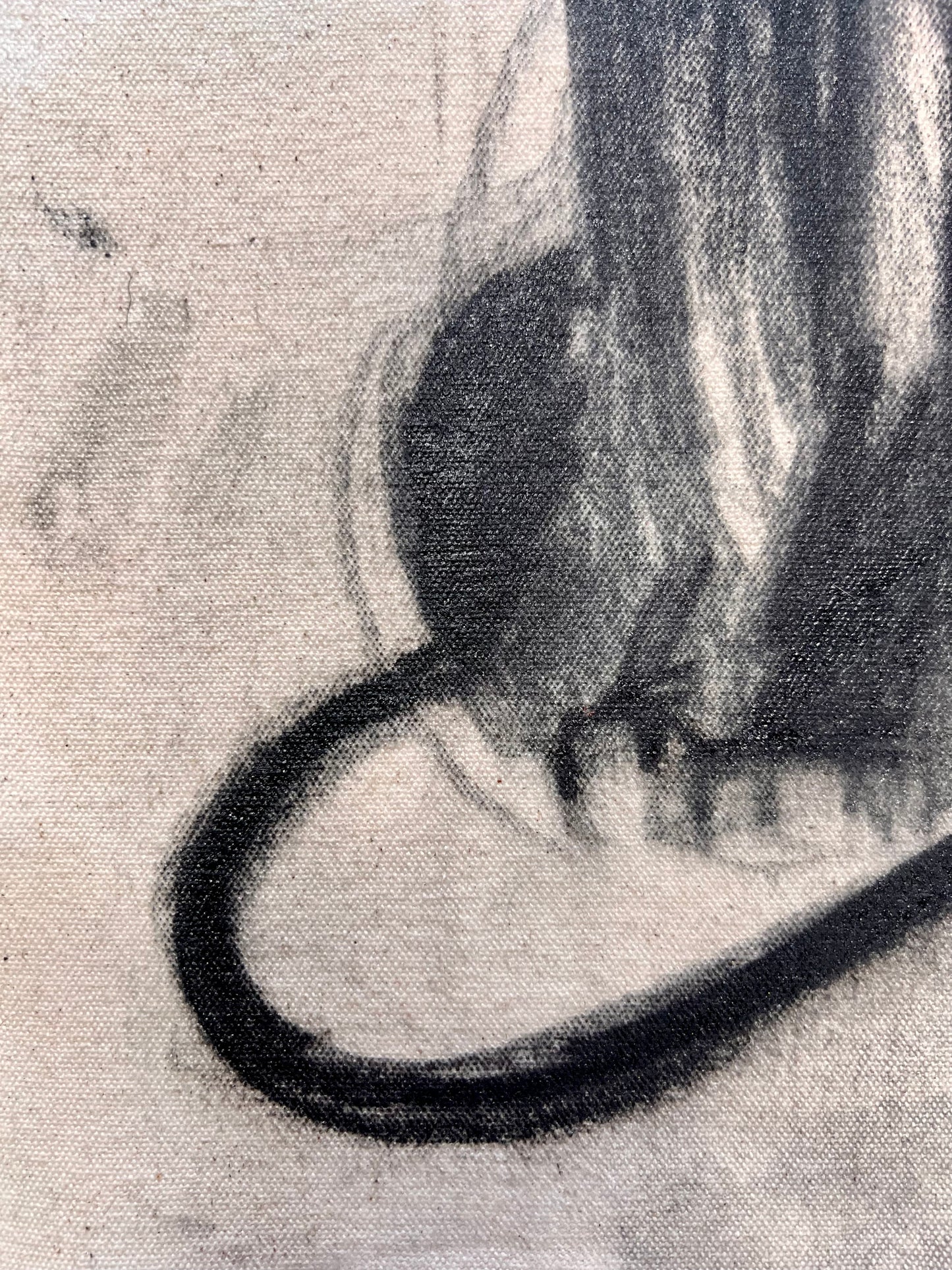 Charcoal Curiosity Cat Sketch / Wednesday Refresh / September 2025