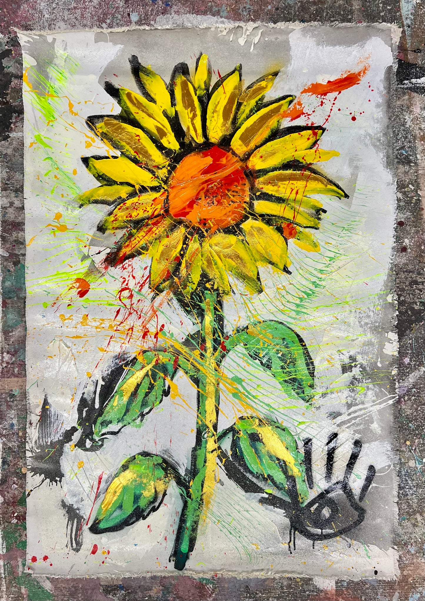 The Source of Light / Sunflower / Wednesday Refresh / February 2026