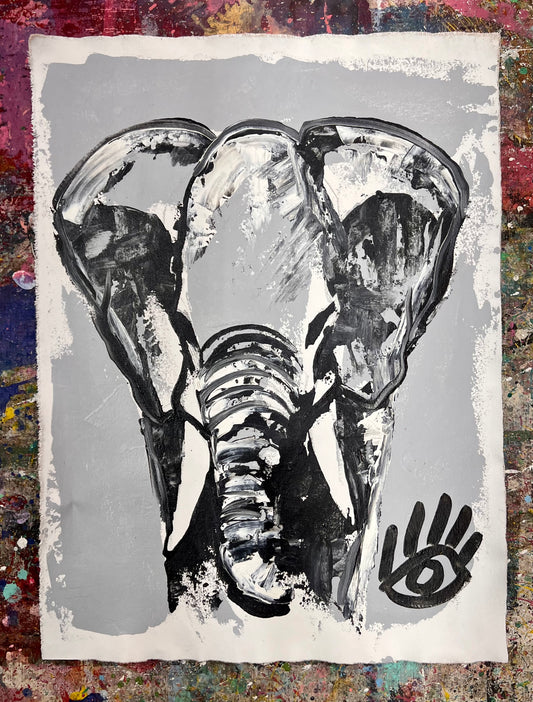 Black & White Elephant / Wednesday Refresh / August 2025
