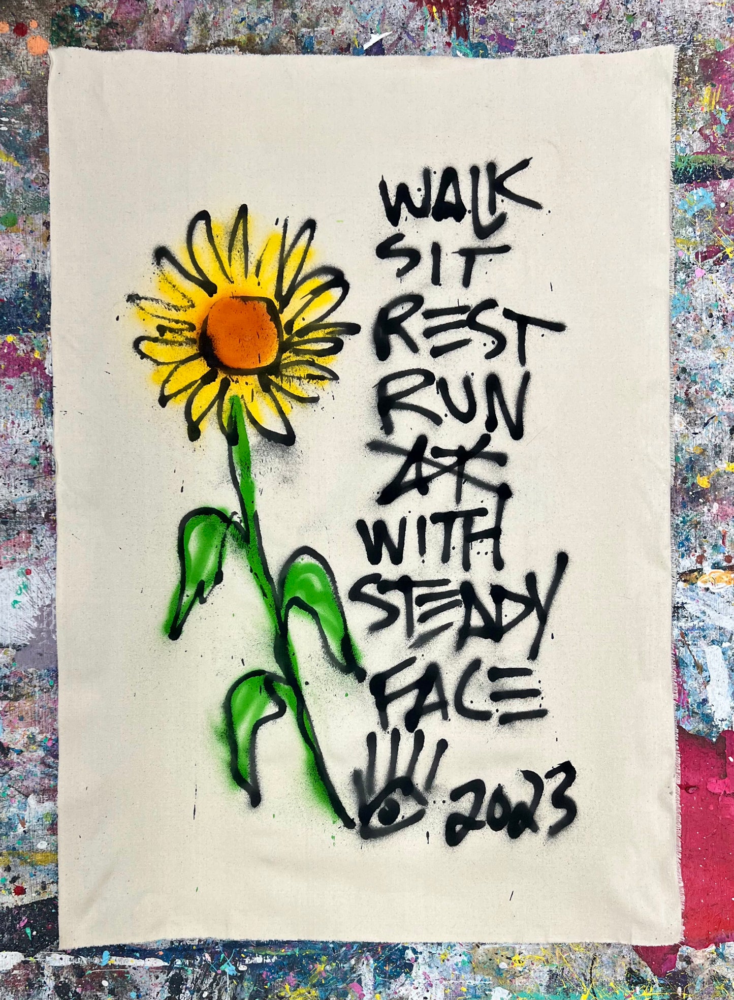 With Steady Face / Buffalo / November 2023