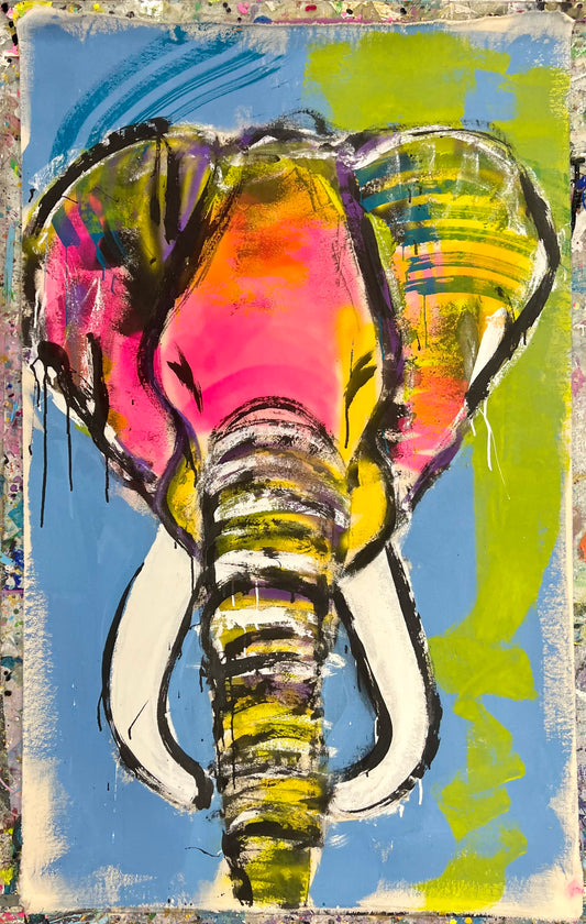 Vibrant Signature Elephant / Classic Throwback / Fall 2024