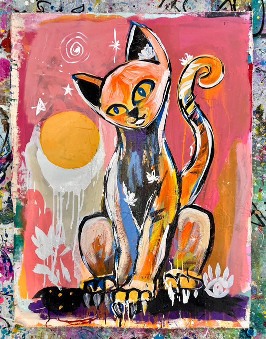 Into Delight / Curiosity Cat / October 2026