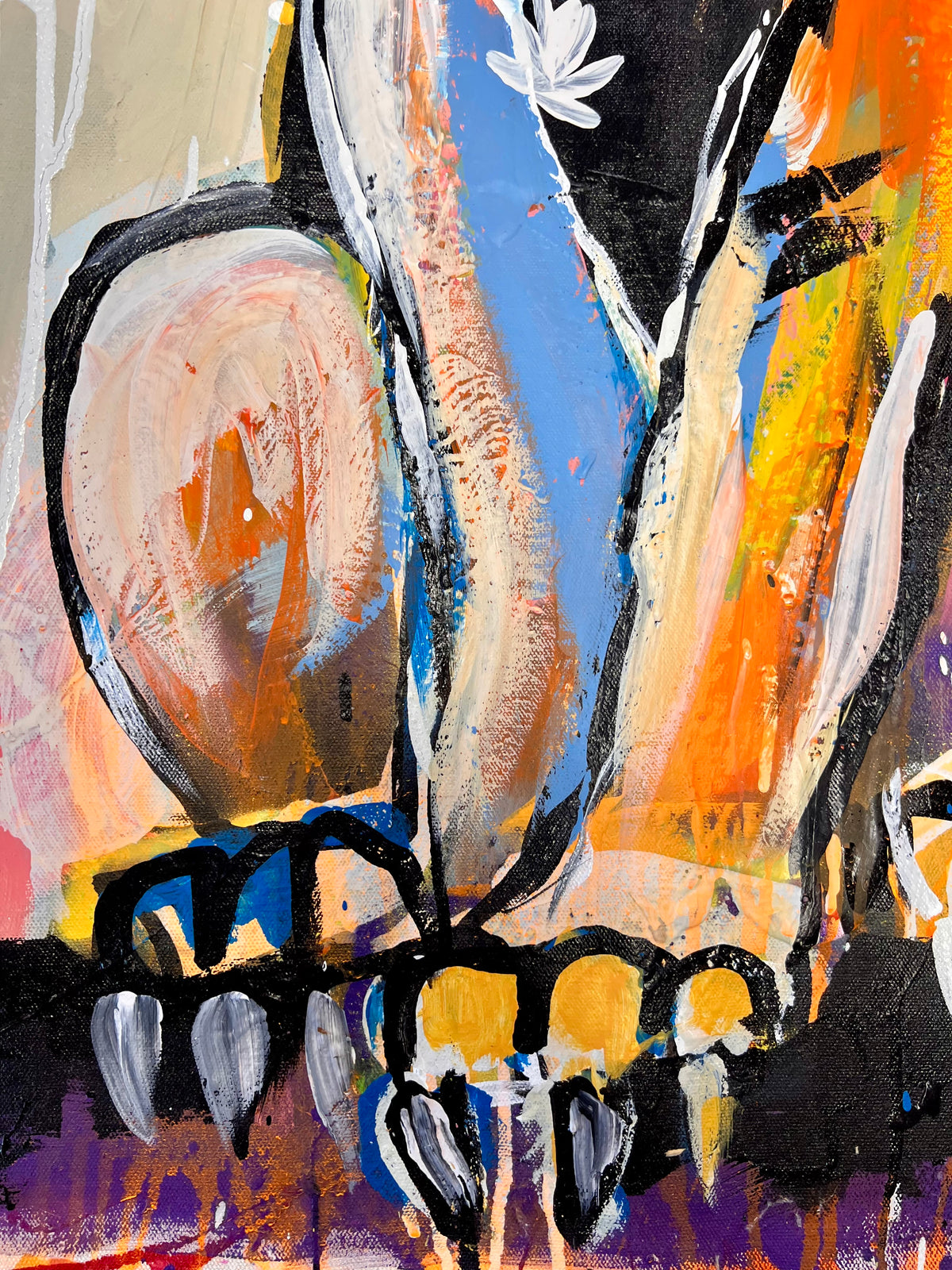 Into Delight / Curiosity Cat / October 2026