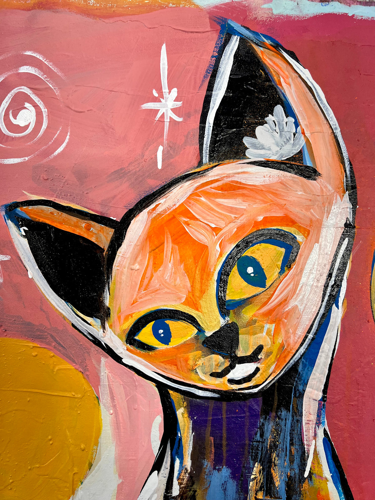 Into Delight / Curiosity Cat / October 2026