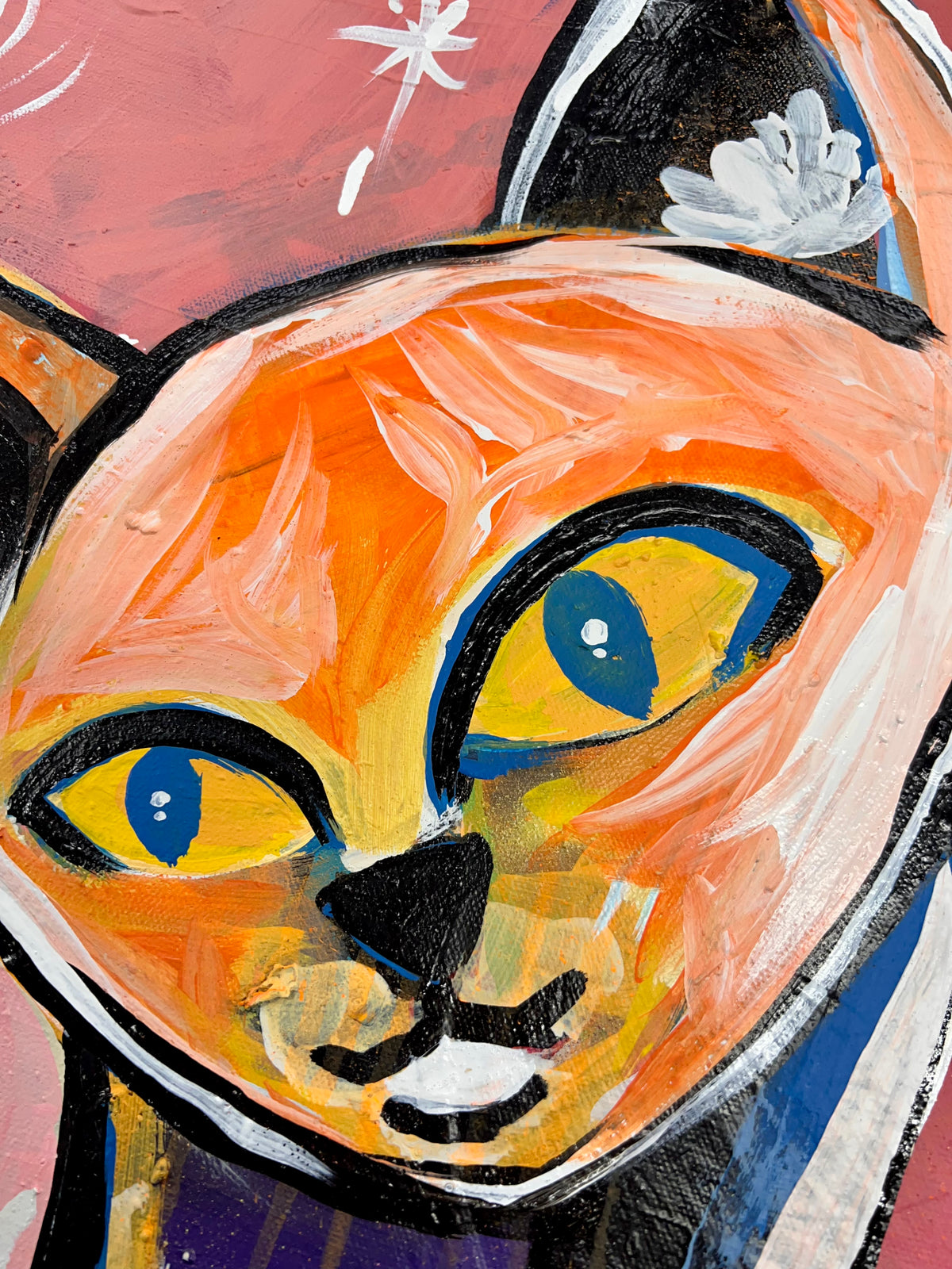 Into Delight / Curiosity Cat / October 2026