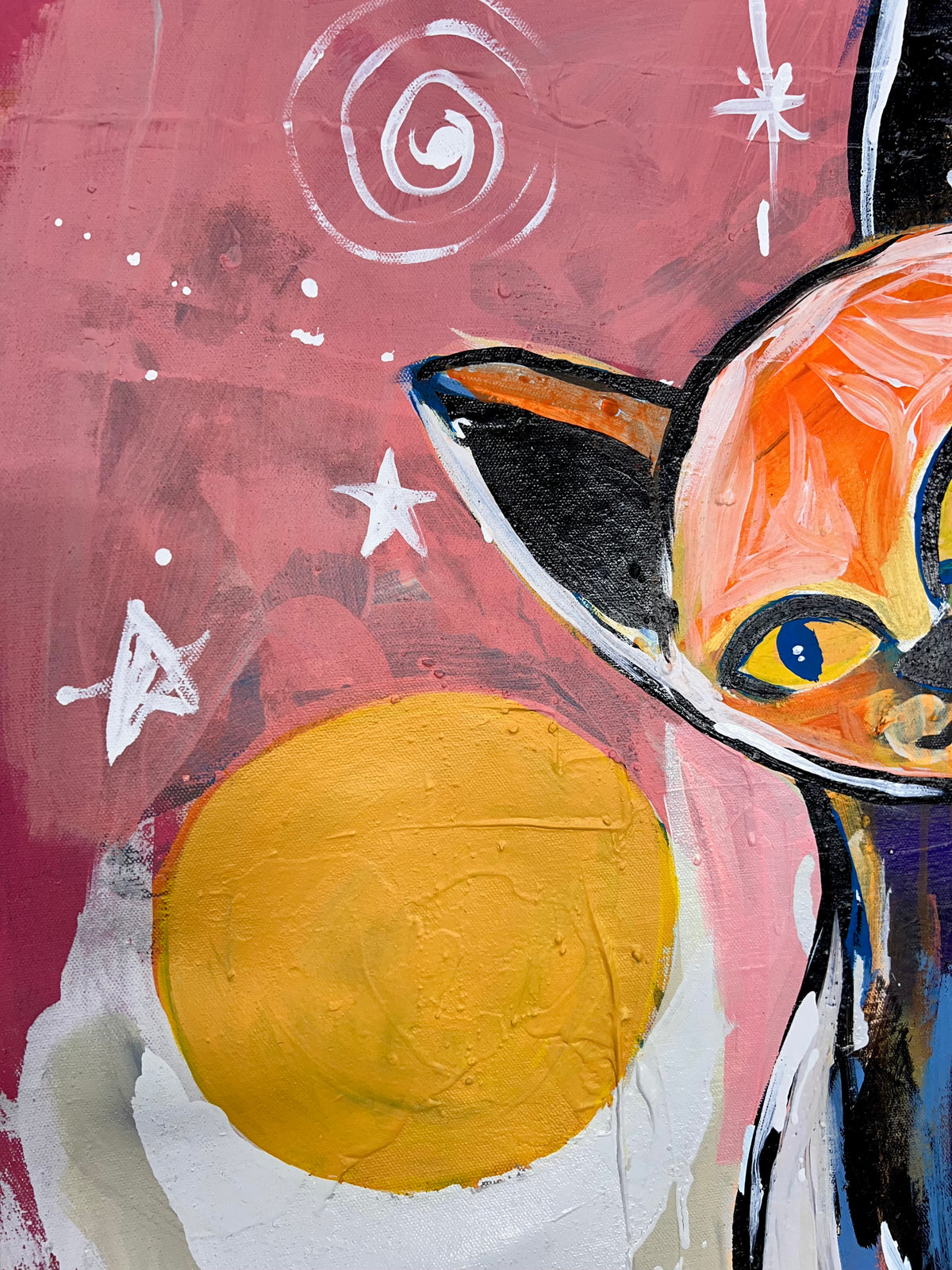 Into Delight / Curiosity Cat / October 2026