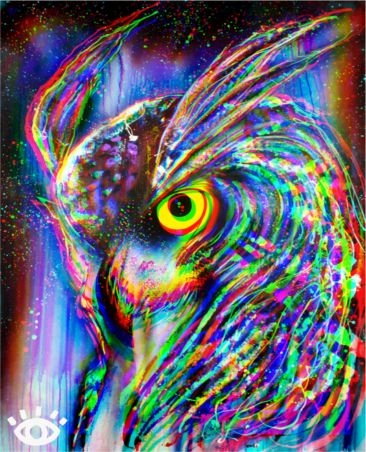 PRINT / Focused Owl